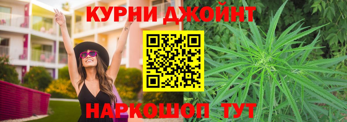 Прохладный  Бошки марихуана планчик  Вход с VPN  Конопля конопля  Каннабис OG Kush 
